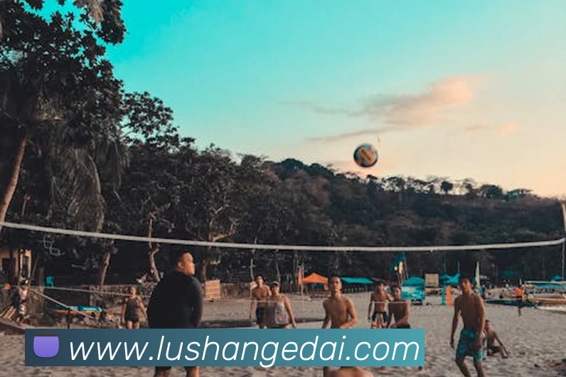 qy球友会官网平台生态图