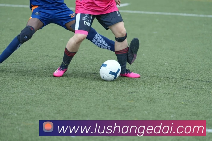 数据防护可视化